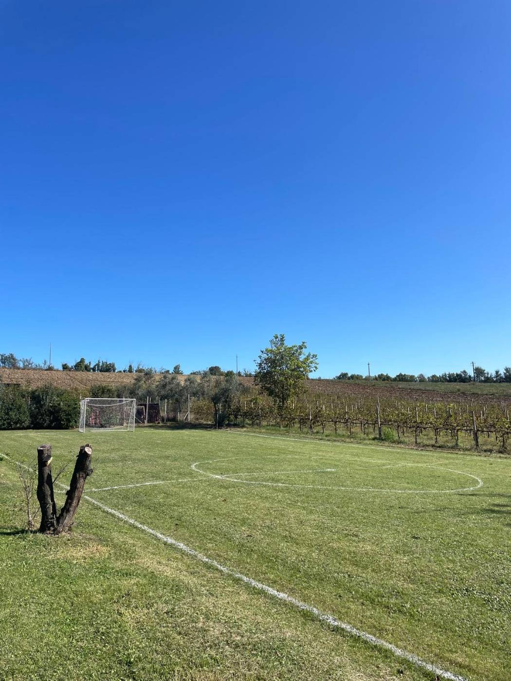 Il campo da calcio
